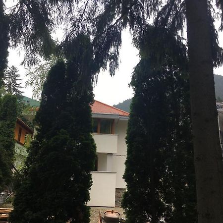 Manyi Villa BaileTusnad Esterno foto