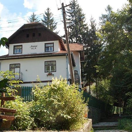 Manyi Villa BaileTusnad Esterno foto