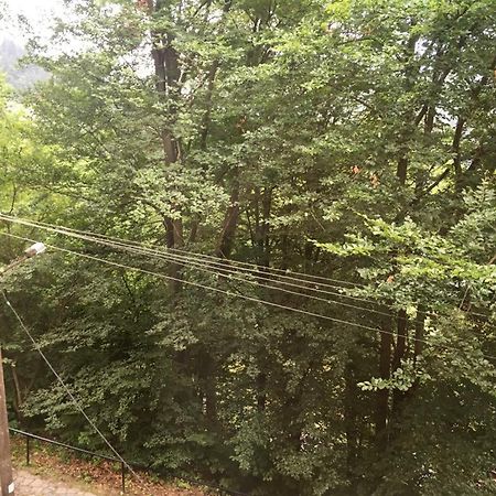 Manyi Villa BaileTusnad Esterno foto