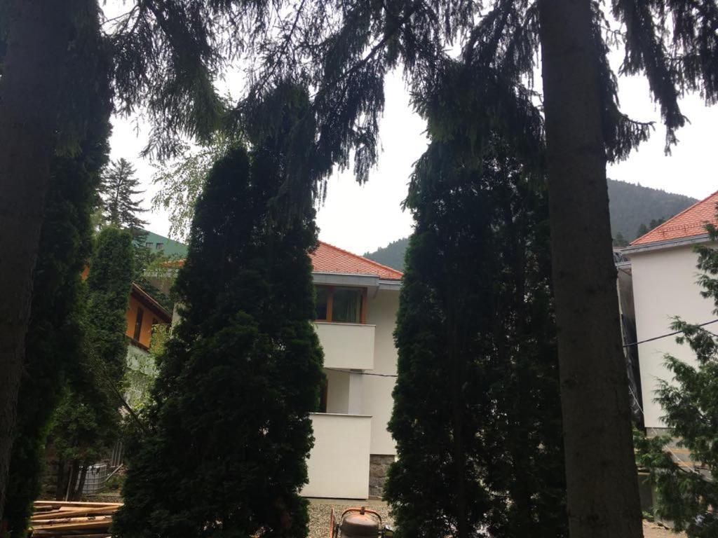 Manyi Villa BaileTusnad Esterno foto