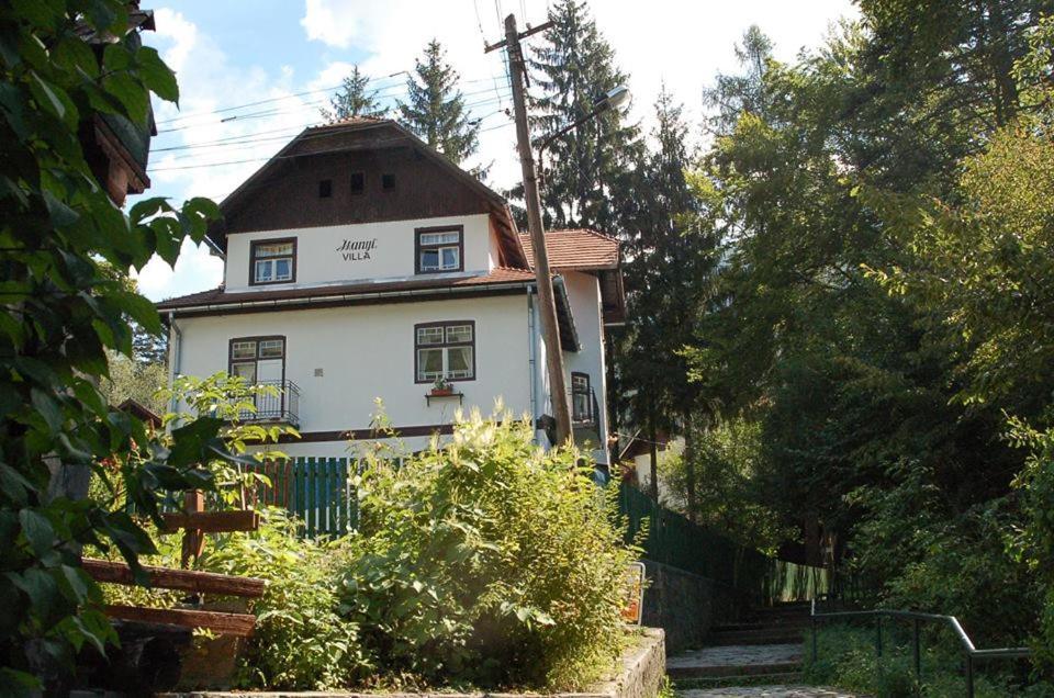 Manyi Villa BaileTusnad Esterno foto