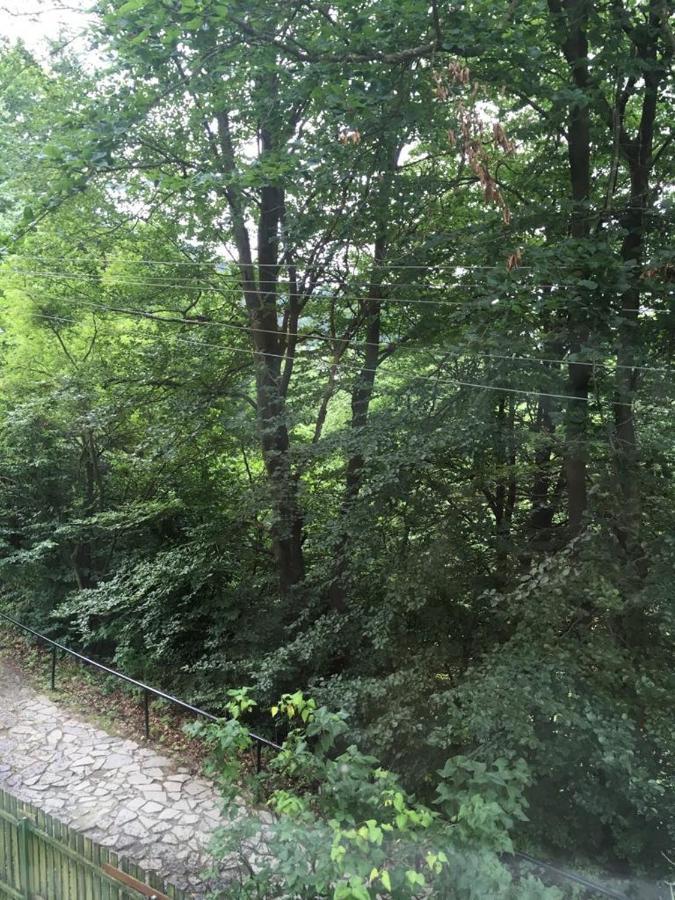 Manyi Villa BaileTusnad Esterno foto