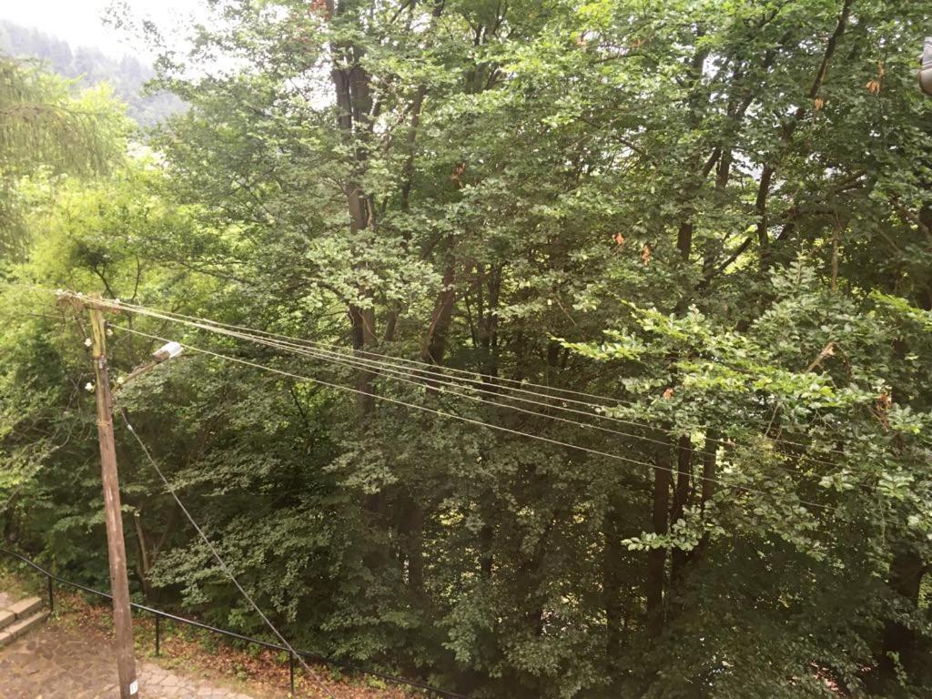 Manyi Villa BaileTusnad Esterno foto