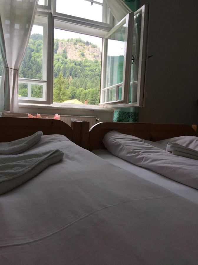 Manyi Villa BaileTusnad Esterno foto