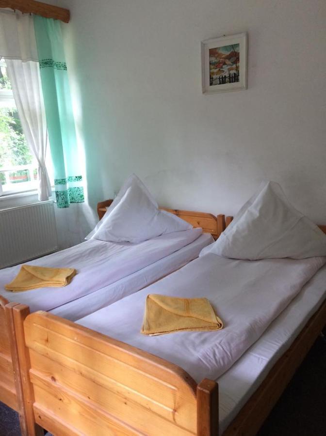 Manyi Villa BaileTusnad Esterno foto