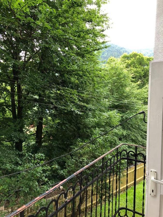 Manyi Villa BaileTusnad Esterno foto