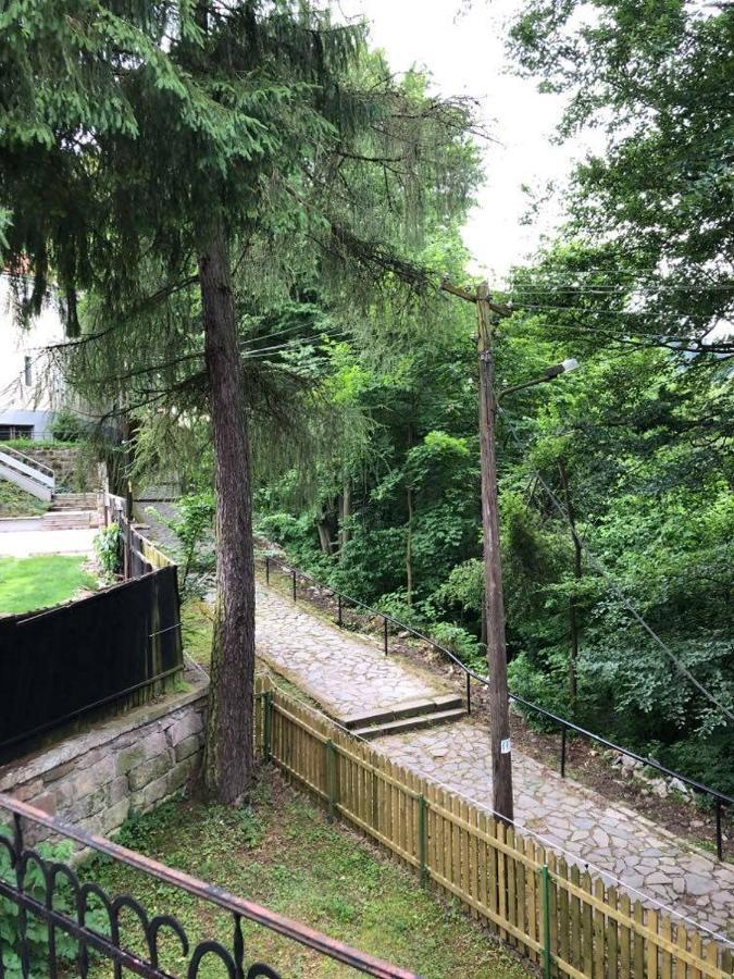 Manyi Villa BaileTusnad Esterno foto