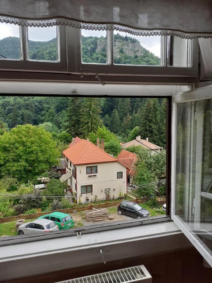 Manyi Villa BaileTusnad Esterno foto