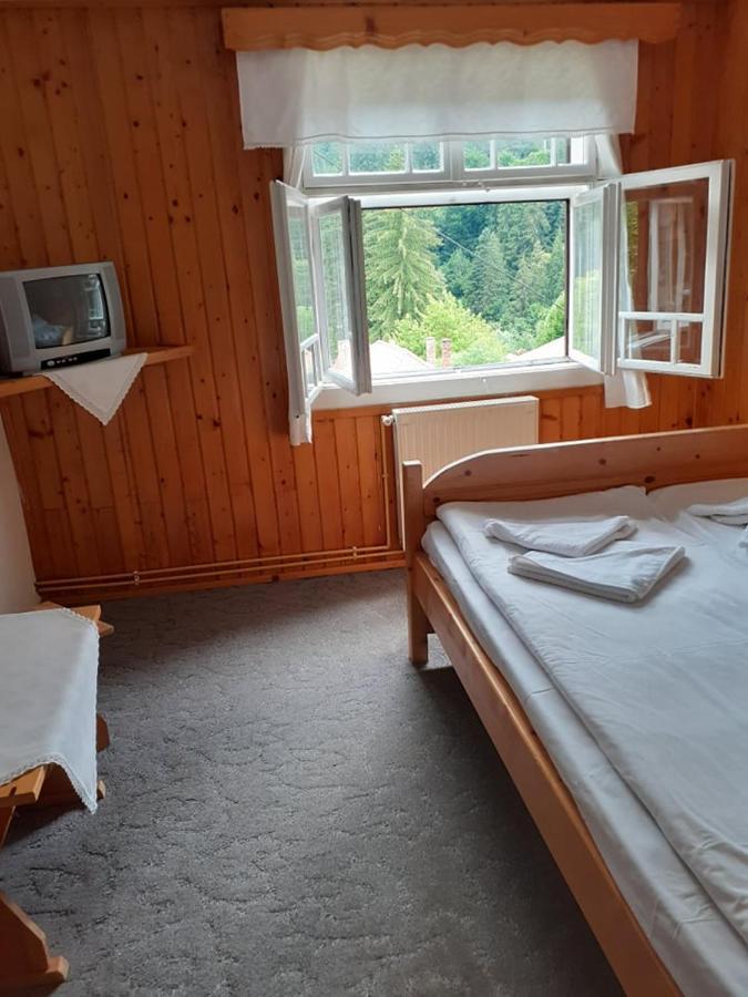 Manyi Villa BaileTusnad Esterno foto